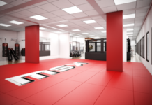 KSW CROSS FIGHT GYM w natarciu